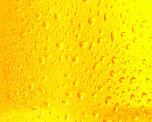 beer, lemonade, drops, water, nature, fresh, rain, yellow water, yellow rain, yellow beer
