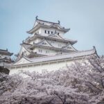 Stunning view of Himeji Castle surrounded by cherry blossoms in spring, Japan.